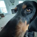 justinchrm's profile picture