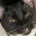 ssd's profile picture